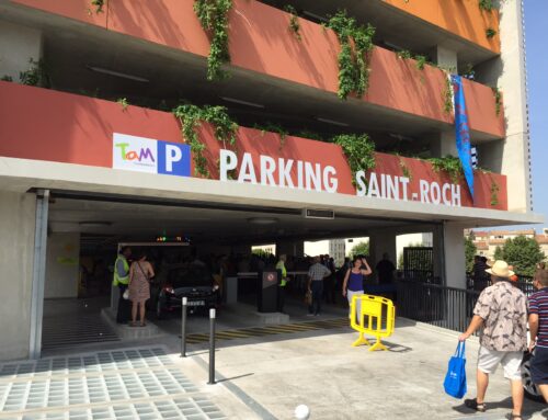 ENSEIGNE LETTRES DÉCOUPÉES – TAM