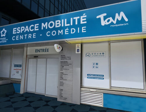 Vitrophanie : les avantages pour les commerces et bureaux